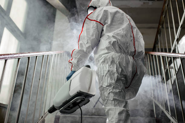 Reliable Rock Creek, AL Mold Removal Solutions